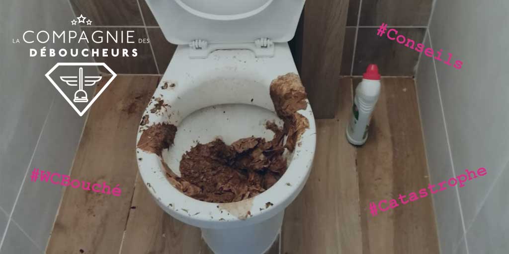 Débouchage toilettes WC, débouchage canalisation : comment faire ?