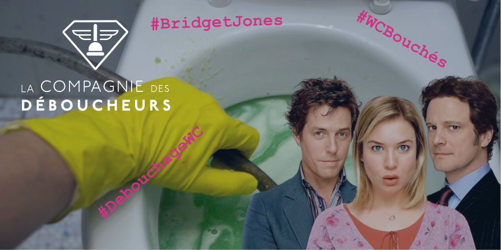 Comment Bridget Jones débouche ses WC ?